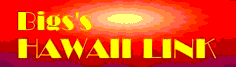 bigssHAWAIILink.gif(8128 byte)