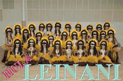 leinanilogo.gif(6364 byte)
